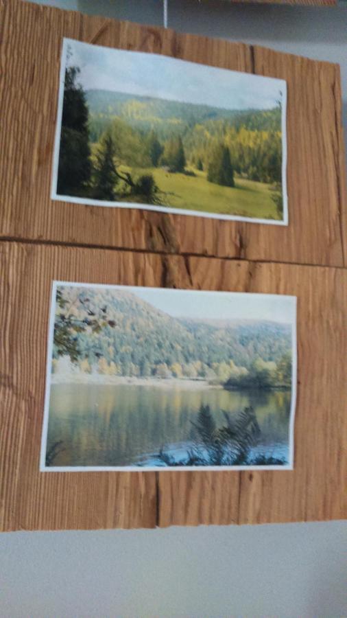 Spa Et Sauna Xonrupt-Longemer Kültér fotó